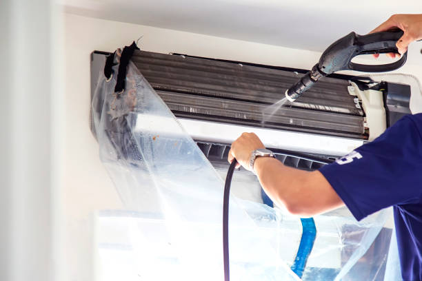 Best Air Duct Mold Removal  in Schuylkill Haven, PA